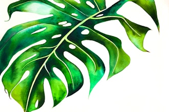 Color and Saturation: Watercolor: It’s Not Easy Being Green